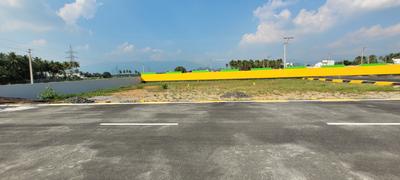 Karipatti Plot View 3