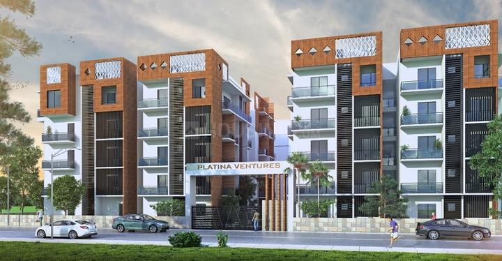 Platina Exotica Main Image 1