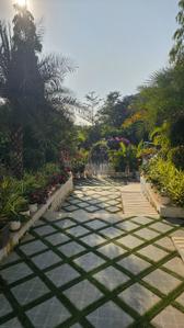 Image of 7000 Sq.ft 4 BHK Independent House for sale in Virar East, Virar for Rs. 40000000