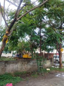 Image of 1300 Sq.ft 4 BHK Independent House for rent in GMS Road, Dehradun for Rs. 32000