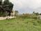 Elamkulam Main Image 1