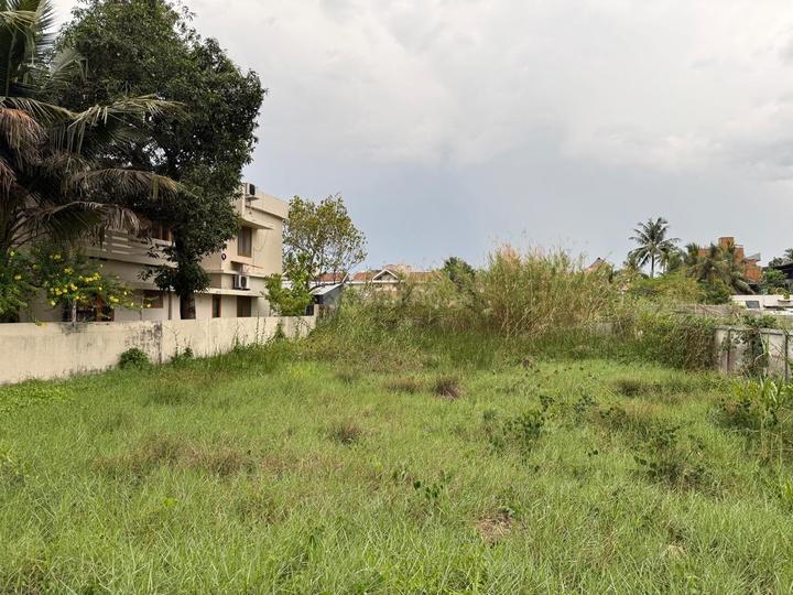 Elamkulam Main Image 1