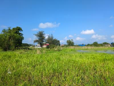 Image of 1440 Sq.ft Residential Plot / Land for sale in Wander Valley, Joka, Kolkata for Rs. 600084