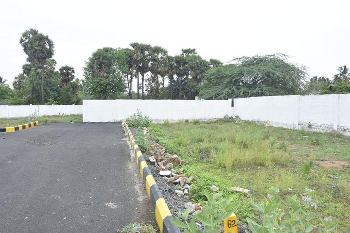 golden aura garden Main Image 1