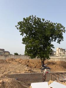 Science City Plot View 2