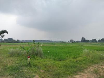 Image of 1000 Sq.ft Residential Plot / Land for sale in Arsande, Ranchi for Rs. 1500000
