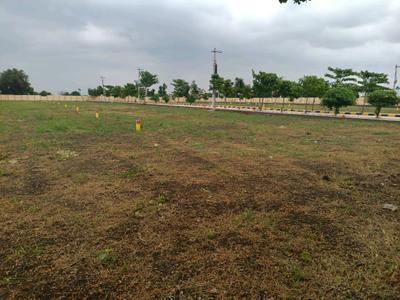 Hampton Palms Plot View 2