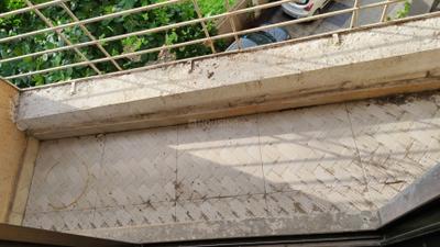 Balcony Image of 670 Sq.ft 1 BHK Apartment / Flat for sale in Ulwe Navi Mumbai for Rs. 6300000