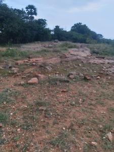 Residential Plot