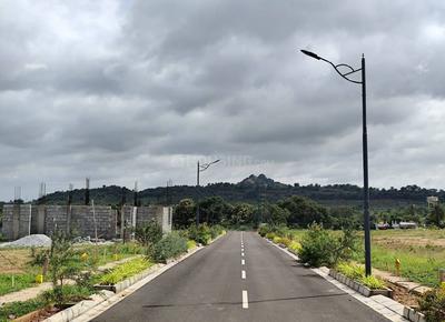 Residential Plot