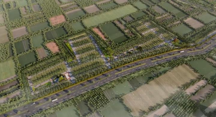 Kanadiya Main Image 1