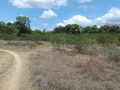 Akshaya garden Plot View 1