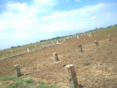 Sampatchak Plot View 2