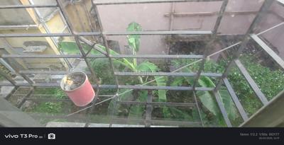 Balcony Image of 700 Sq.ft 2 BHK Apartment / Flat for sale in Purba Swapna Neer Apartment, Barrackpore Kolkata for Rs. 3500000