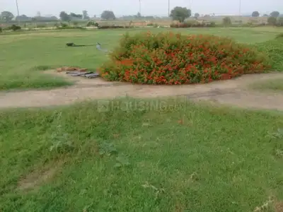 Image of 100 Sq.ft Residential Plot / Land for sale in Altus Muirwoods, New Chandigarh, Chandigarh for Rs. 10500000