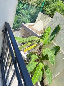 Balcony Image of 900 Sq.ft 2 BHK Apartment / Flat for sale in Girish Park Kolkata for Rs. 5850000