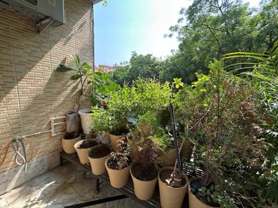 Balcony Image of 2925 Sq.ft 4.5 BHK Builder Floor for sale in Janakpuri New Delhi for Rs. 52500000