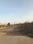 Balaji prime  Plot View 2