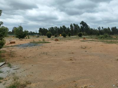 Residential Plot