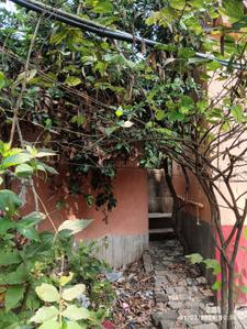 4.5 BHK Independent House