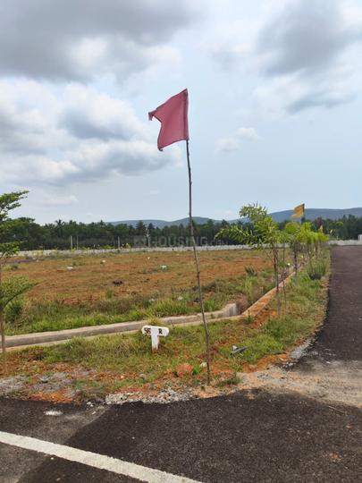 SHYAM AVENUE Main Image 1