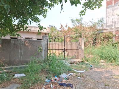 Block D Plot View 1