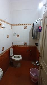 Bathroom Image of Pitrukrupa boy's PG in Navrangpura, Ahmedabad