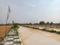 Century Nature City Internal Roads 1