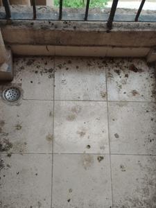 Balcony Image of 840 Sq.ft 2 BHK Apartment / Flat for sale in Aditya Luxuria Estate, Bamheta Village Ghaziabad for Rs. 5500000