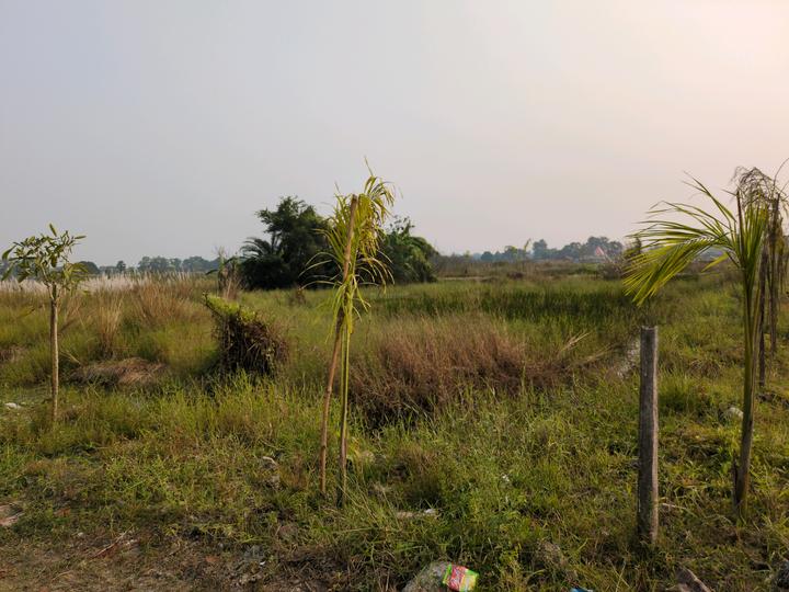 Metroplex City Main Image 1