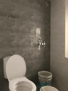 Common Bathroom Image of 1045 Sq.ft 3 BHK Apartment / Flat for sale in Amrapali Dream Valley 2, Noida Extension Greater Noida for Rs. 8300000
