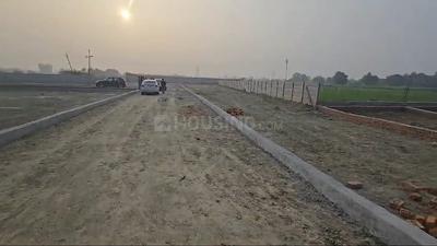 Paradise Dreamlands infraprojects pvt Ltd Plot View 2