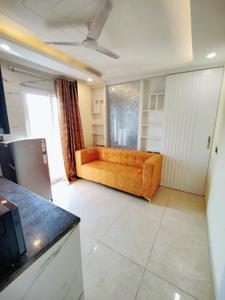 Hall Image of 850 Sq.ft 1 BHK Builder Floor for rent in Urban Estate Dugri Ludhiana for Rs. 15000