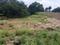 Nathnagar  Main Image 1