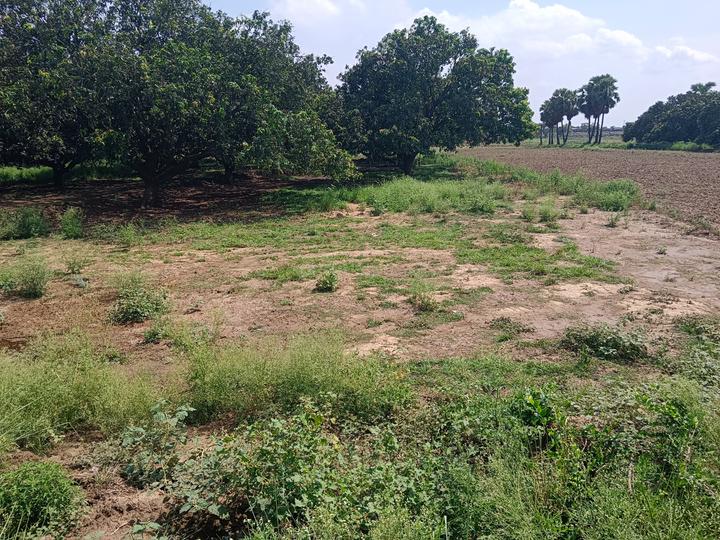 Nathnagar  Main Image 1