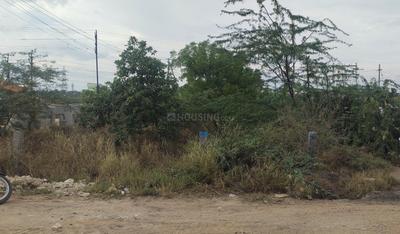 Image of 1913 Sq.ft Residential Plot / Land for sale in Chinnavedampatti, Coimbatore for Rs. 7260000