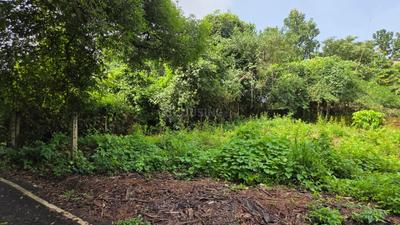 Image of 400 Sq.ft Residential Plot / Land for sale in Socorro, Goa for Rs. 20000000