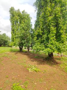 Image of 4000 Sq.ft Residential Plot / Land for sale in Karjat, Thane for Rs. 4400000