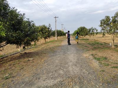 Image of 1558 Sq.ft Residential Plot / Land for sale in Kalaparru, Eluru for Rs. 2076000