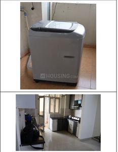 Hall Image of Syam pg in Sector 137, Noida