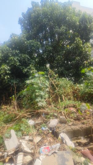 Sector 1, HSR Layout Main Image 1