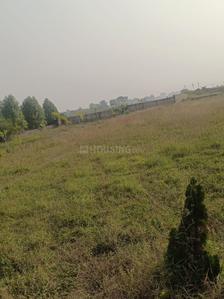 Image of 1250 Sq.ft Residential Plot / Land for sale in Bodri, Bilaspur for Rs. 1500000