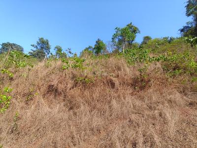 Image of 270 Sq.ft Residential Plot / Land for sale in Boma, Goa for Rs. 2430000