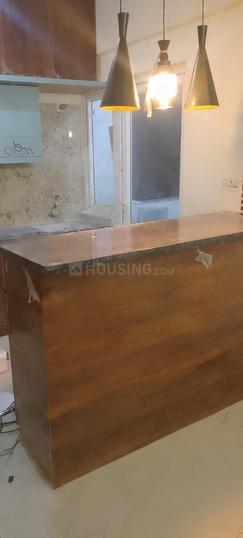 Alpine Viva Main Image 1