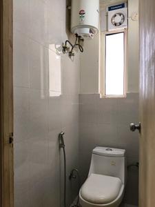 Common Bathroom Image of 910 Sq.ft 1 BHK Apartment / Flat for rent in Pyramid Urban Homes, Sector 70A Gurgaon for Rs. 21700