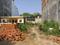 Block D Plot View 2