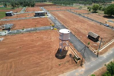 Annur Plot View 2