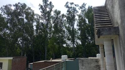 Image of 150 Sq.ft 3 BHK Independent House for rent in Refinery Nagar, Mathura for Rs. 11000