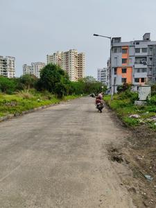 Action Area 2 Plot View 2