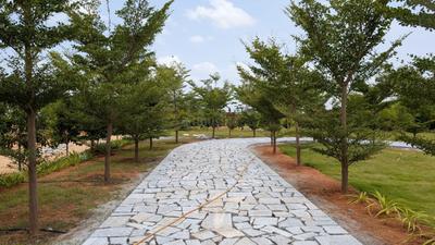 Image of 6001 Sq.ft Residential Plot / Land for sale in Devannahalli, Chikballapur District for Rs. 4200000